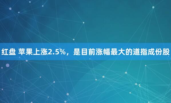 红盘 苹果上涨2.5%，是目前涨幅最大的道指成份股