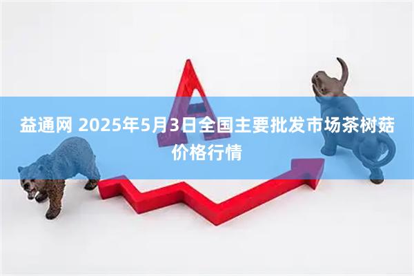 益通网 2025年5月3日全国主要批发市场茶树菇价格行情